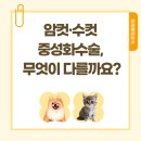 두류동물병원 네이버블로그
