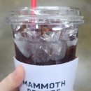 매머드익스프레스 평촌스마트점 | [꿀팁] 남들은 별로라는데 나는 대만족인 하나카드 스마트커피팩 3일차 후기