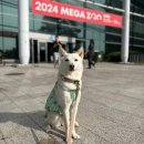 (주)펫꼬뺑이 | 드디어 이번 주! 2025 메가주 일산(하) 사전등록부터 주차까지 총정리