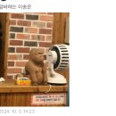 퇴사 전 으니의 일상 ~~