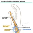 성산라파의원 이미지