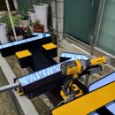 온스바디 이미지