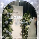 부산 농심호텔 웨딩 허심청 대청홀 결혼식 코스 요리 하객 후기