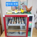 세원어린이집 | [효목동 어린이집 추천] 엄마처럼 돌보는 ‘세원어린이집’