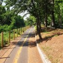 도림초교 육교 아래 이미지