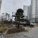 건우조경