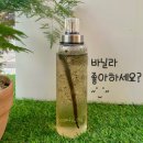 바닐라빈 이미지