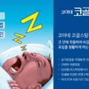 드림에어(주) 이미지