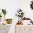 파티포유