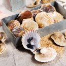 포그니병원 이미지