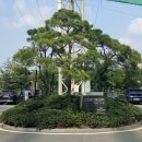 동도센트리움골프클럽 | 구로 인도어 골프연습장 오류동 동도센트리움 골프클럽