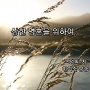 상한 영혼을 위하여 고정희 이미지