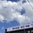 헤이댕댕 네이버블로그