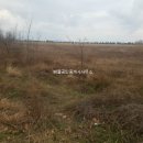 순천만공인중개사사무소 이미지