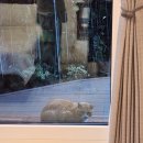 아름빌라 앞 이미지