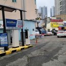 연한우목장 이미지