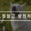 같이