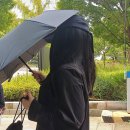 ‘가짜뉴스’로 2억 번 탈덕수용소, 6억 토해낸다 이미지