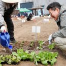 성동농장 이미지