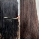 샤르망미용실 | 연산역 연산동 미용실 추천 에리카헤어 연산2호점 클리닉 후기 💇‍♀️