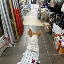 진주철물건재 이미지