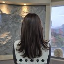 은성종합인테리어 - 부산진구 성지로 28 | 잠실새내 미용실 온리포유 잠실새내점 디테일을 살리는 은성원장님 뿌리염색 후기
