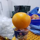 (주)오렌지 푸드