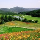 파인밸리 이미지