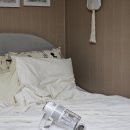 스톰왈츠 | 침대 이불청소 집먼지진드기 퇴치법 아토케어 듀얼스톰 살균 침구청소기 추천