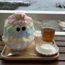 강아지맛집 티스토리