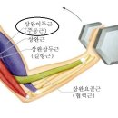 트레이닝론 이미지