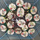 고일어린이집 이미지