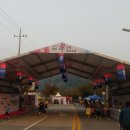 샛별세차장 | 대전 중구 안영동 효(孝)문화 뿌리축제 방문후기