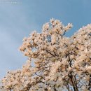 실란트로(주) 이미지