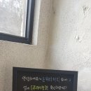 돈워리퍼피 이미지