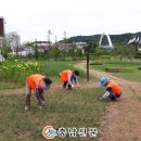 도솔광장 이미지