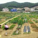 상문농장 이미지