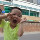 5월의 마지막 가평 황금 박쥐에서 마루,마인,키티,제티와 우리 가족 모두 출동!!