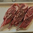 대전 점심 회식장소 갈만한곳 둔산동 점심 맛집 미미램 탄방점 양갈비 유린기 추천