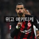 위고빅