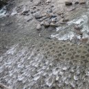 민지네 펜션 이미지