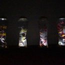 트리노드 주식회사 이미지
