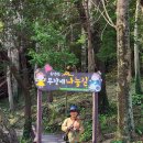 유달산둘레길 이미지