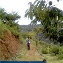 섭이농장 이미지