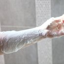 한스바디밸런스 이미지