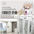 별내동물병원 이미지