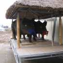 수북면사무소 이미지