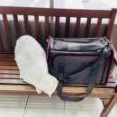 뮤동물병원 이미지