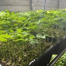 봄날태권도 이미지