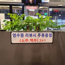 부평양다리 부평양고기맛집 팔면통순지양꼬치부평본점 방문후기
